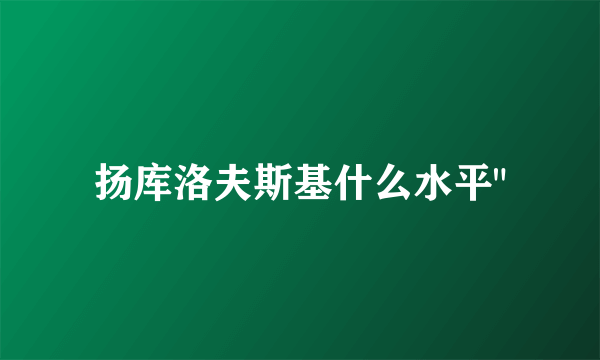 扬库洛夫斯基什么水平