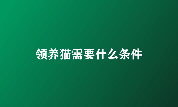 领养猫需要什么条件