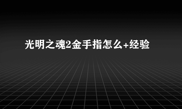 光明之魂2金手指怎么+经验