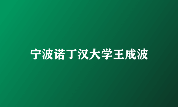 宁波诺丁汉大学王成波