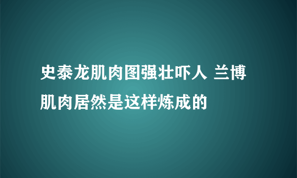 史泰龙肌肉图强壮吓人 兰博肌肉居然是这样炼成的