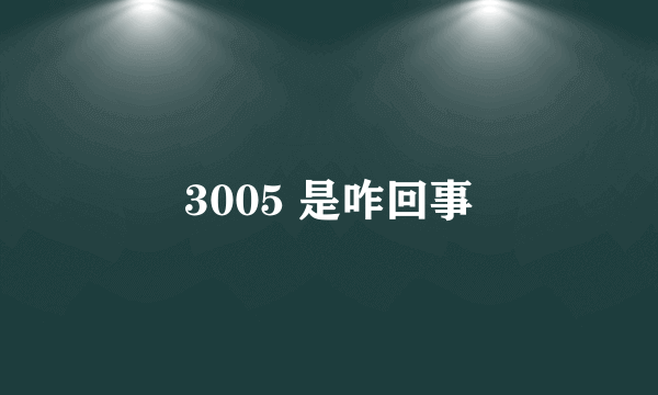 3005 是咋回事