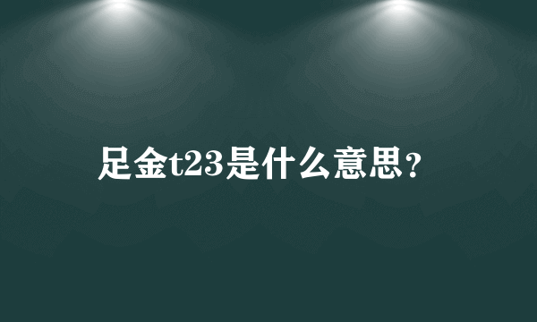 足金t23是什么意思？