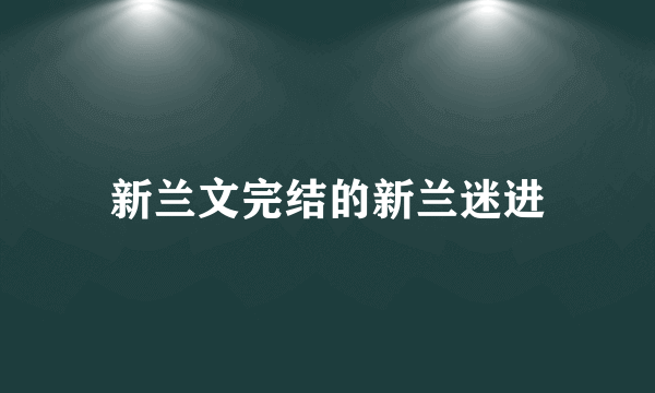 新兰文完结的新兰迷进