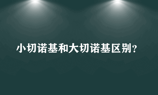 小切诺基和大切诺基区别？