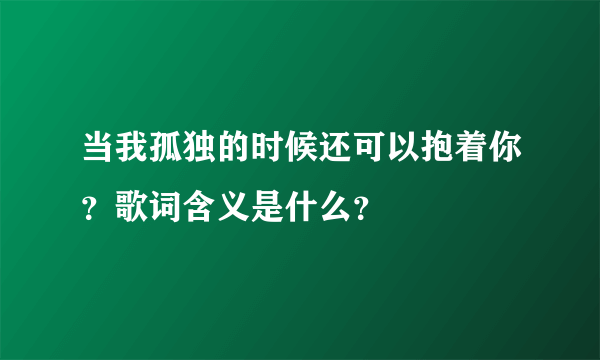 当我孤独的时候还可以抱着你？歌词含义是什么？