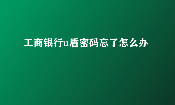 工商银行u盾密码忘了怎么办