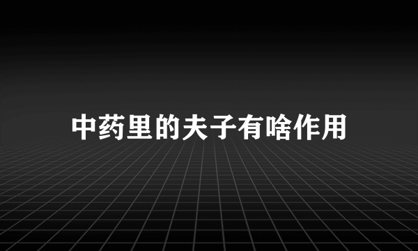 中药里的夫子有啥作用