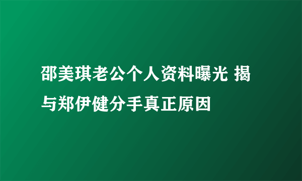 邵美琪老公个人资料曝光 揭与郑伊健分手真正原因