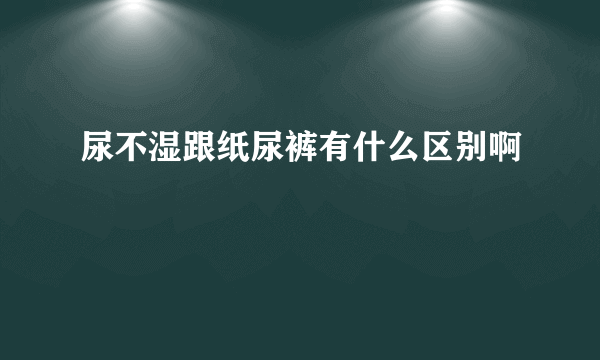 尿不湿跟纸尿裤有什么区别啊