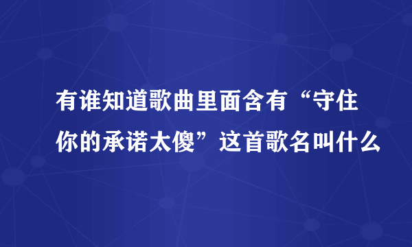 有谁知道歌曲里面含有“守住你的承诺太傻”这首歌名叫什么