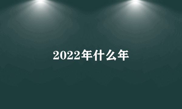 2022年什么年