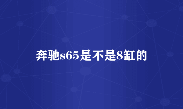 奔驰s65是不是8缸的