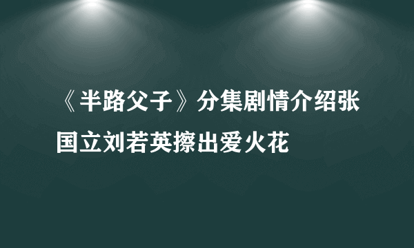 《半路父子》分集剧情介绍张国立刘若英擦出爱火花