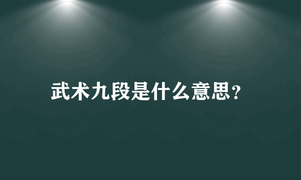 武术九段是什么意思？