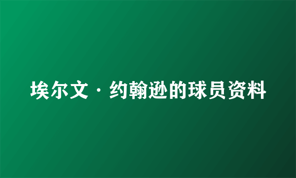 埃尔文·约翰逊的球员资料