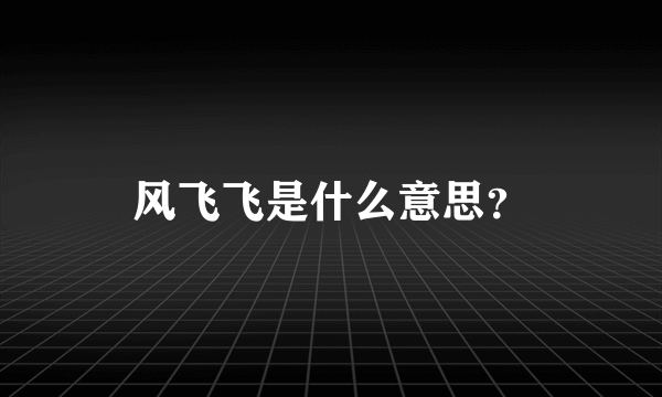 风飞飞是什么意思？