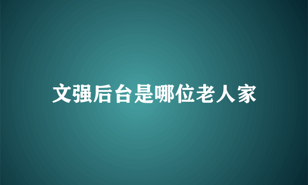 文强后台是哪位老人家