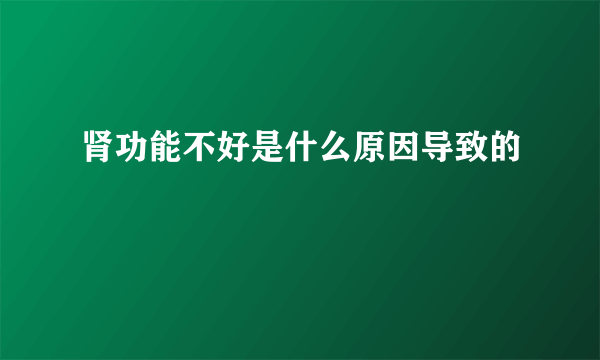 肾功能不好是什么原因导致的