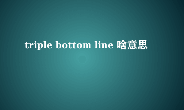 triple bottom line 啥意思