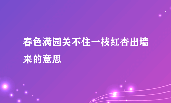 春色满园关不住一枝红杏出墙来的意思