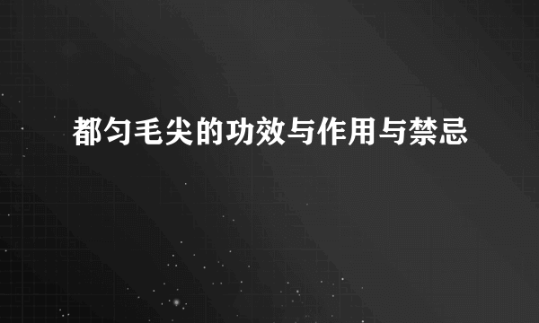 都匀毛尖的功效与作用与禁忌