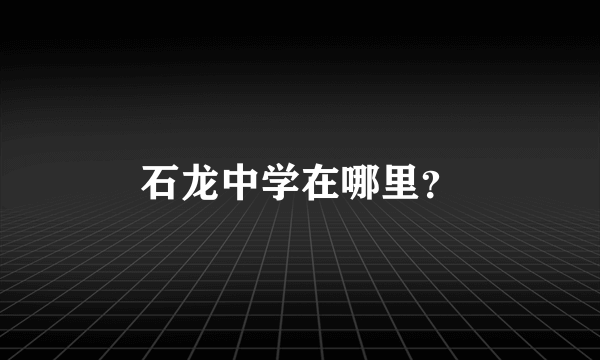 石龙中学在哪里？