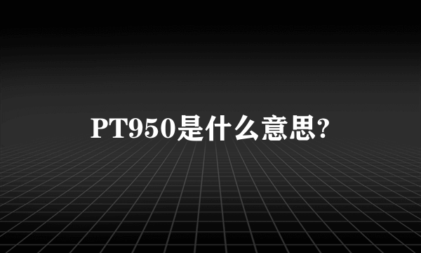 PT950是什么意思?