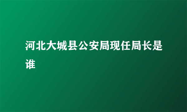 河北大城县公安局现任局长是谁