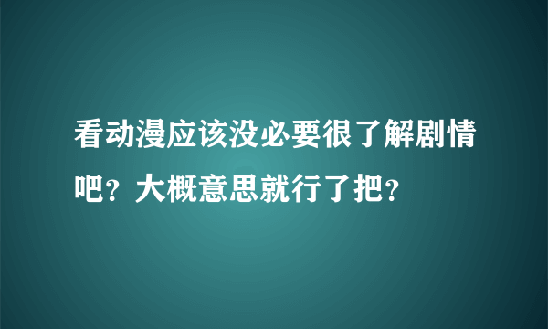 看动漫应该没必要很了解剧情吧？大概意思就行了把？