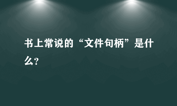 书上常说的“文件句柄”是什么？