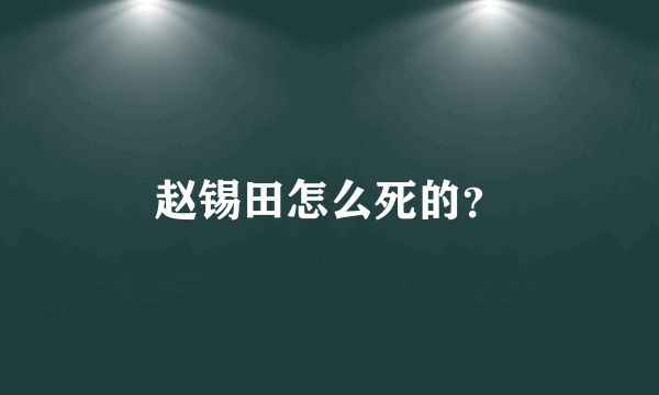 赵锡田怎么死的？