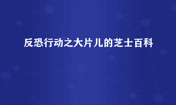 反恐行动之大片儿的芝士百科