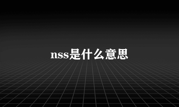 nss是什么意思