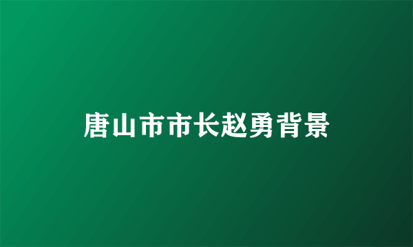 唐山市市长赵勇背景