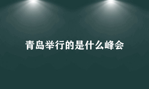 青岛举行的是什么峰会