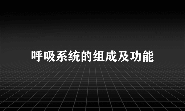 呼吸系统的组成及功能