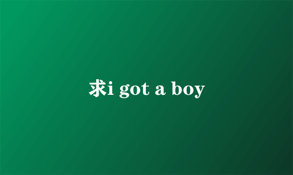 求i got a boy