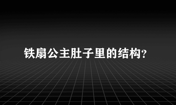 铁扇公主肚子里的结构？