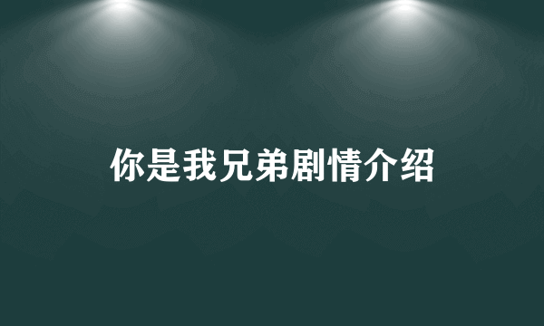 你是我兄弟剧情介绍