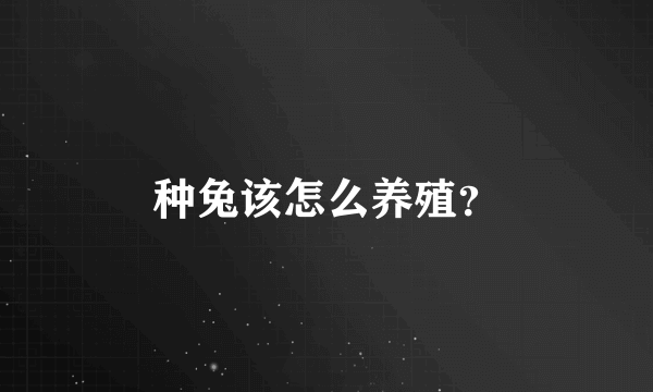 种兔该怎么养殖？