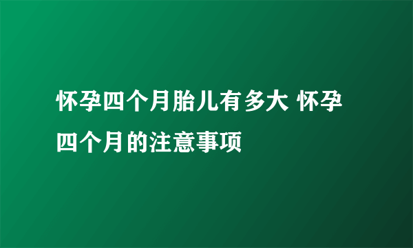 怀孕四个月胎儿有多大 怀孕四个月的注意事项