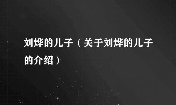 刘烨的儿子（关于刘烨的儿子的介绍）