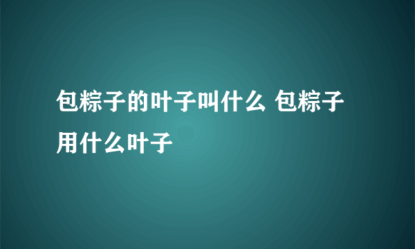 包粽子的叶子叫什么 包粽子用什么叶子