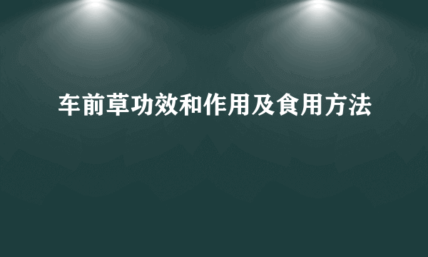 车前草功效和作用及食用方法