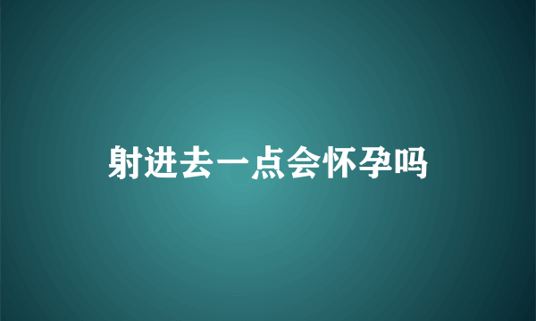 射进去一点会怀孕吗