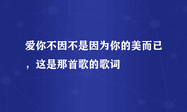 爱你不因不是因为你的美而已，这是那首歌的歌词