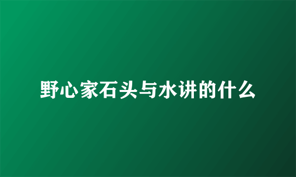 野心家石头与水讲的什么