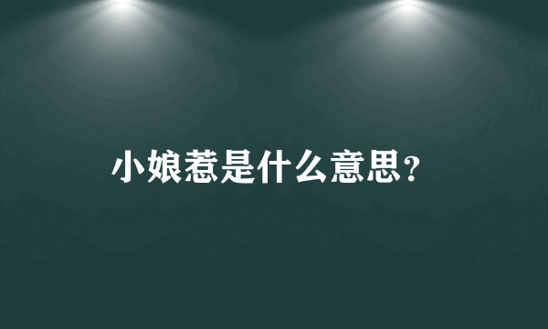 小娘惹是什么意思？