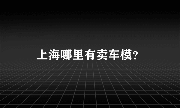 上海哪里有卖车模？